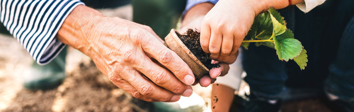 gardening-blog.jpg